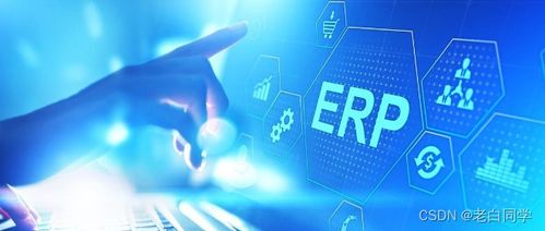 數(shù)字化浪潮下的現(xiàn)代飼料工廠(chǎng) 核心系統(tǒng)與數(shù)字內(nèi)容服務(wù)解析